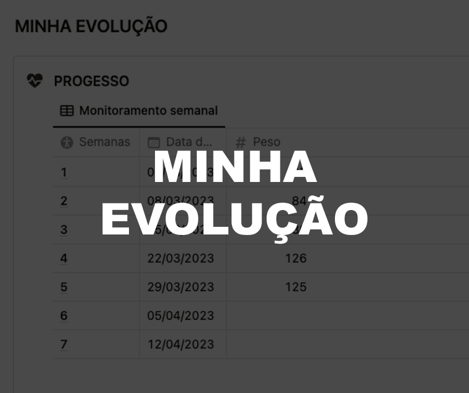 MINHA EVOLUÇÃO